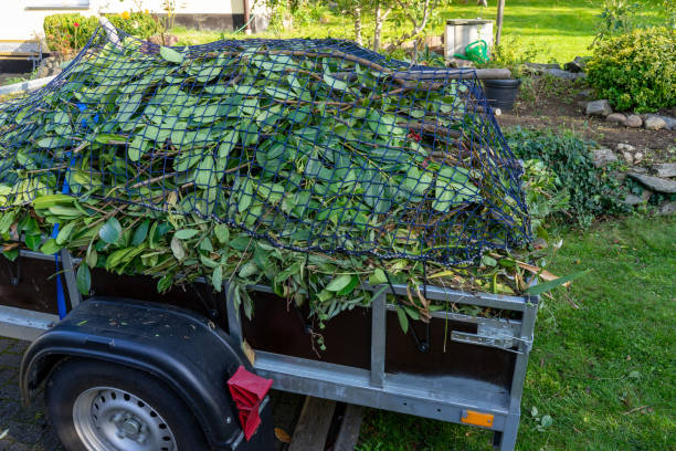 Best Yard Waste Removal  in Cleveland, GA